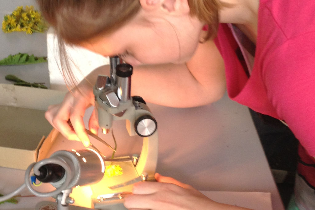 2013-04-16_bio_experimentierclub_001a