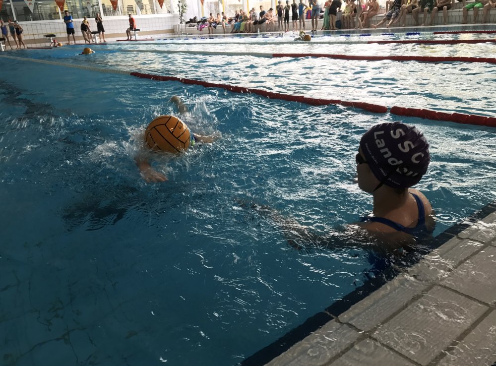 Luggy Mädels Gewinnen Im Schwimmen Ludwigsgymnasium Straubing