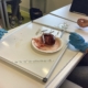 Zuordnung der Strukturen des Schweineherzens